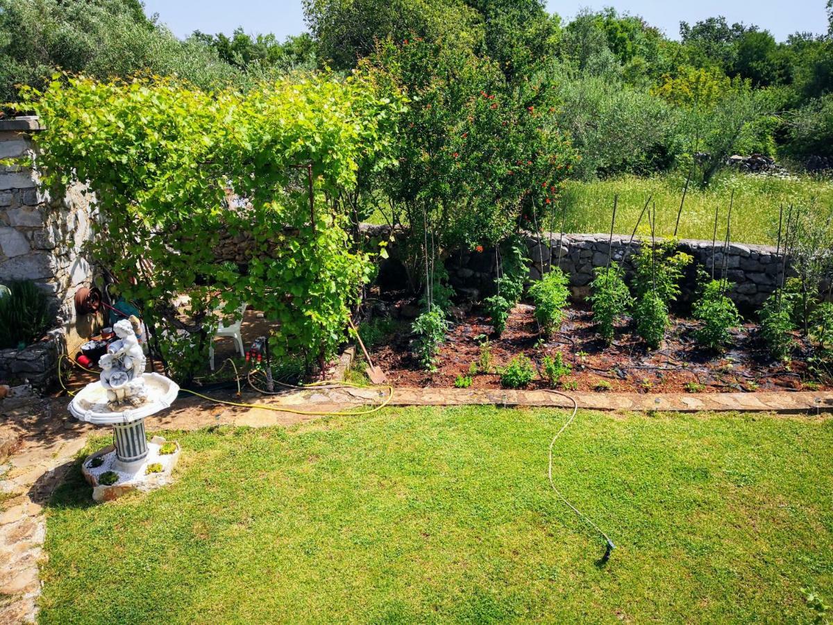 Apartamento Oaza Zgaljic Exterior foto